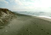砂浜写真04